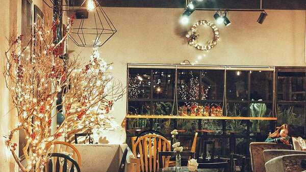Trang trí noel quán cafe bằng cây khô và dây đèn