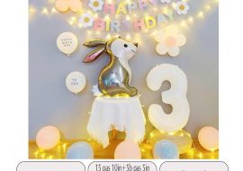 Tổng hợp set bóng trang trí sinh nhật cho bé gái