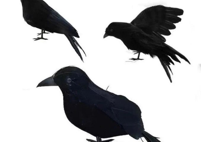 z7111406668640_a80fafe8148b7bebfc23f4e9c39c1791