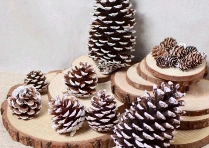 z7191489915308_9edab048b37a3005b773936703f88954