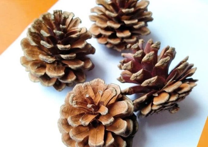 z7191857565016_e73a8f2cf5c1827747787aeadcb04360