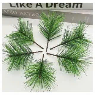 z7194360938332_41b52774043f74135f4671a2296cb24c