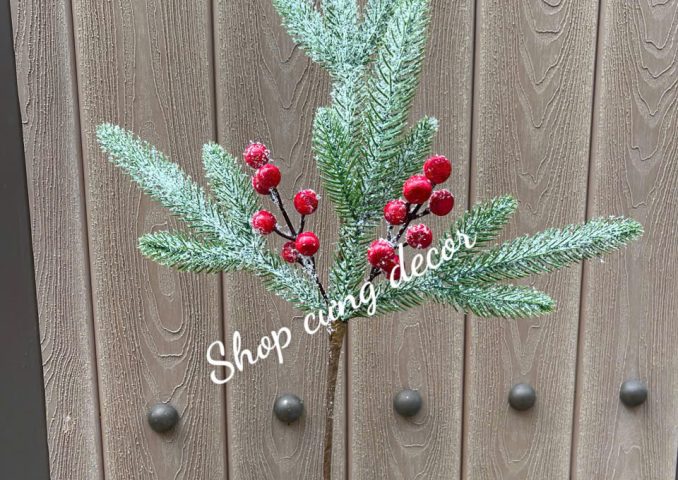 z7208411817089_0c86f5cbd9ebf9c8234d6472cff4652e