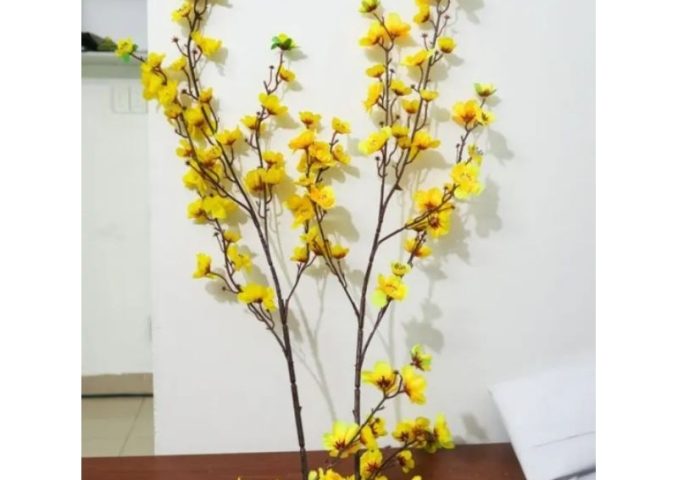 vn-11134207-7ras8-m28yabjwn7aq0a