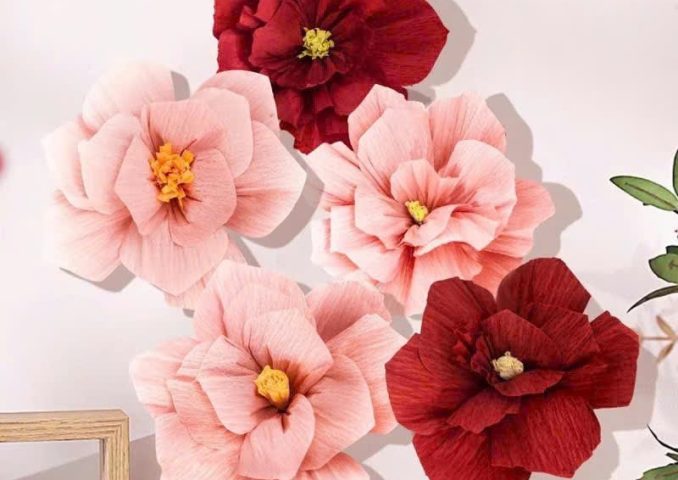 vn-11134207-820l4-miid91es2yo3fd