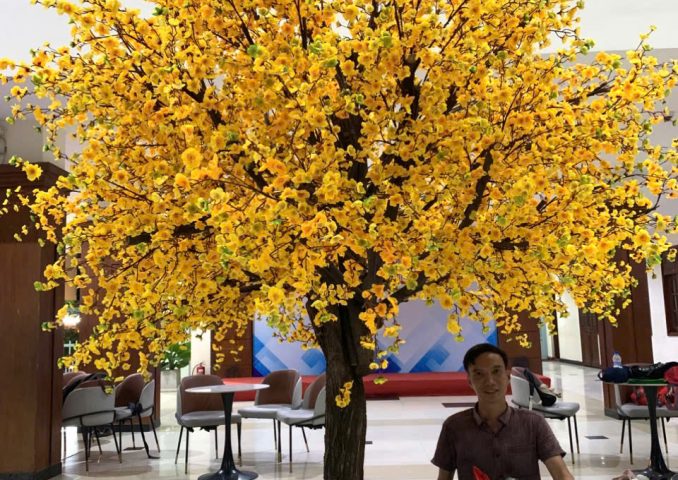 z7415512302942_c471af4355ef90ee9abd8669b24a9c0e