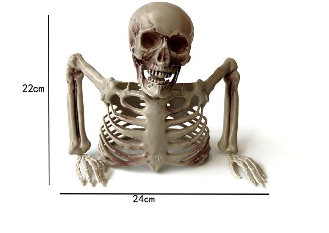 Mô hình nửa người trang trí Halloween mới, nửa bộ xương trông như thật, đáng sợ